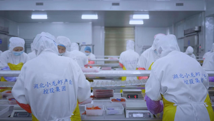 全國首個小龍蝦加工基地揭牌 全鏈賦能‘蝦’經濟，助力鄉村振興與技術推廣